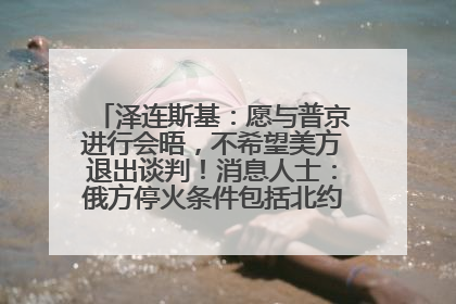 泽连斯基：愿与普京进行会晤，不希望美方退出谈判！消息人士：俄方停火条件包括北约“书面”保证不东扩