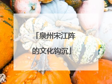 泉州宋江阵的文化钩沉