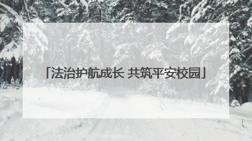 法治护航成长 共筑平安校园