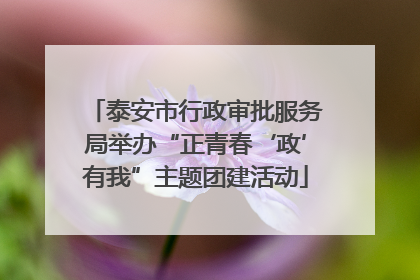 泰安市行政审批服务局举办“正青春‘政’有我”主题团建活动