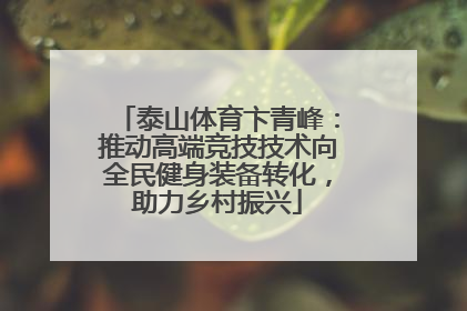 泰山体育卞青峰：推动高端竞技技术向全民健身装备转化，助力乡村振兴