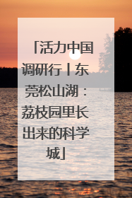 活力中国调研行丨东莞松山湖：荔枝园里长出来的科学城