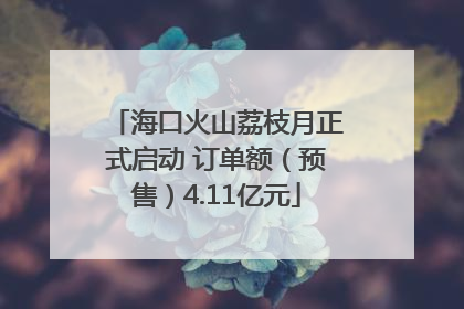 海口火山荔枝月正式启动 订单额（预售）4.11亿元