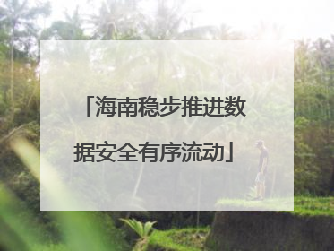 海南稳步推进数据安全有序流动