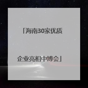 海南30家优质企业亮相中博会
