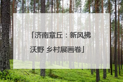 济南章丘：新风拂沃野 乡村展画卷
