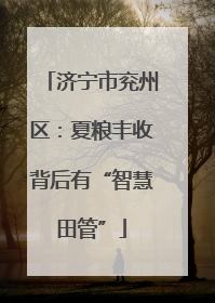 济宁市兖州区：夏粮丰收背后有“智慧田管”