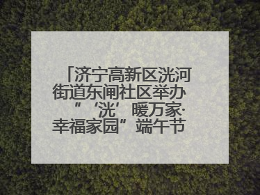 济宁高新区洸河街道东闸社区举办“‘洸’暖万家·幸福家园”端午节幸福集市活动