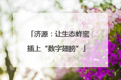 济源：让生态蜂蜜插上“数字翅膀”