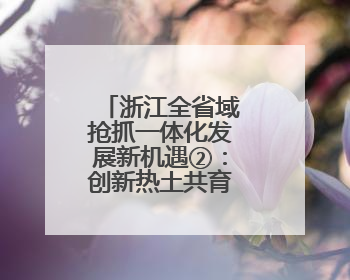 浙江全省域抢抓一体化发展新机遇②：创新热土共育新质生产力