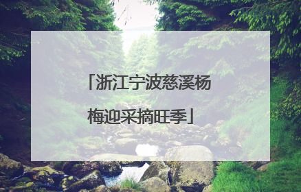 浙江宁波慈溪杨梅迎采摘旺季