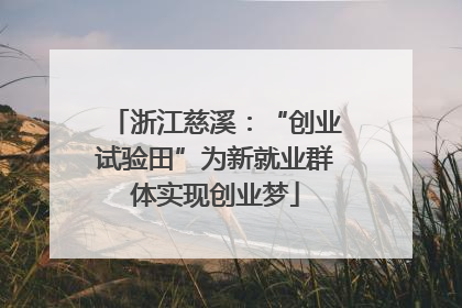 浙江慈溪：“创业试验田”为新就业群体实现创业梦