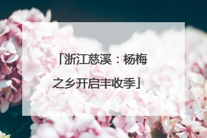 浙江慈溪：杨梅之乡开启丰收季