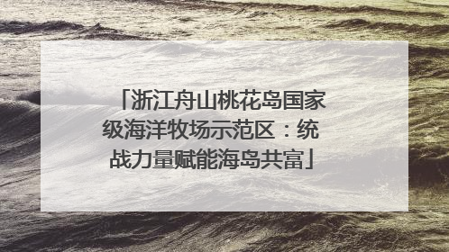 浙江舟山桃花岛国家级海洋牧场示范区：统战力量赋能海岛共富
