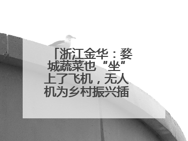 浙江金华：婺城蔬菜也“坐”上了飞机，无人机为乡村振兴插上“翅膀”