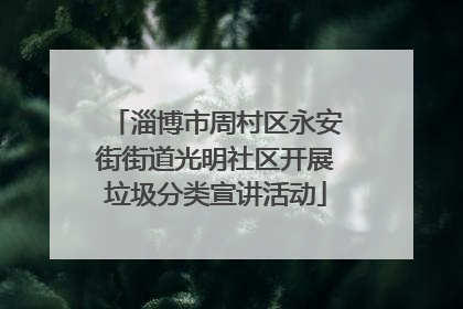 淄博市周村区永安街街道光明社区开展垃圾分类宣讲活动