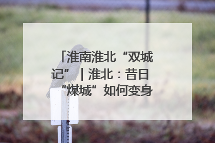 淮南淮北“双城记”｜淮北：昔日“煤城”如何变身文旅“美城”？