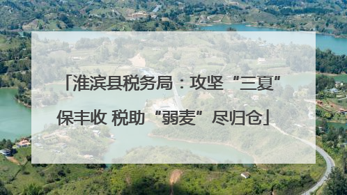 淮滨县税务局：攻坚“三夏”保丰收 税助“弱麦”尽归仓