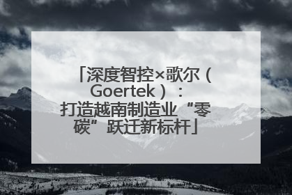 深度智控×歌尔（Goertek）：打造越南制造业“零碳”跃迁新标杆