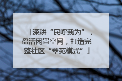 深耕“民呼我为”，盘活闲置空间，打造完整社区“翠苑模式”