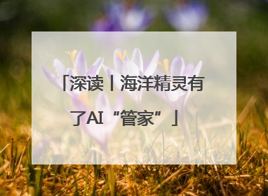 深读丨海洋精灵有了AI“管家”