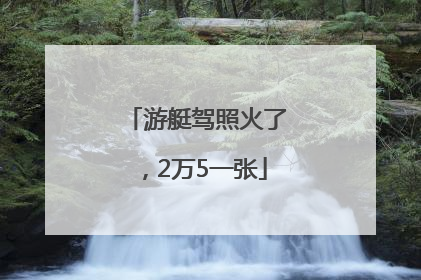 游艇驾照火了，2万5一张
