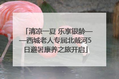 清凉一夏 乐享银龄——西城老人专属北戴河5日避暑康养之旅开启