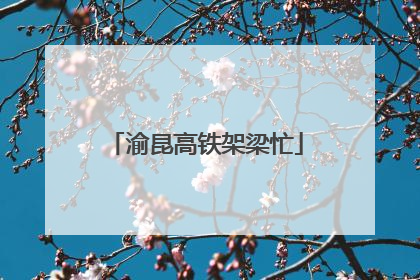 渝昆高铁架梁忙