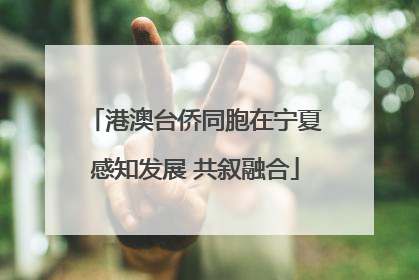 港澳台侨同胞在宁夏感知发展 共叙融合