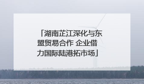 湖南芷江深化与东盟贸易合作 企业借力国际陆港拓市场