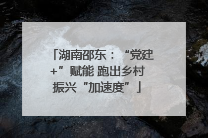 湖南邵东：“党建+”赋能 跑出乡村振兴“加速度”