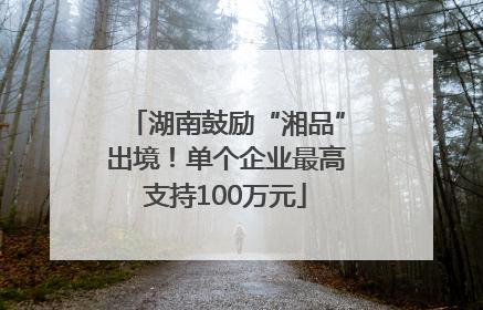 湖南鼓励“湘品”出境！单个企业最高支持100万元