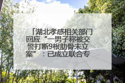 湖北孝感相关部门回应“一男子称被交警打断9根肋骨未立案”：已成立联合专班开展工作