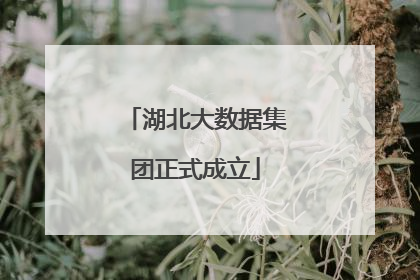 湖北大数据集团正式成立