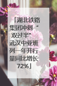 湖北铁路集团冲刺“双过半” 武汉中亚班列一年开行量同比增长72%