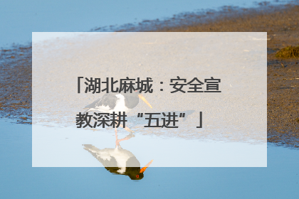 湖北麻城：安全宣教深耕“五进”