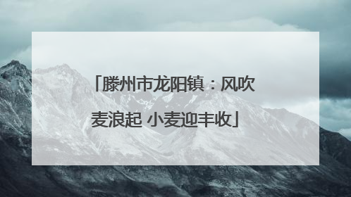 滕州市龙阳镇：风吹麦浪起 小麦迎丰收