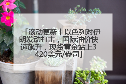 滚动更新丨以色列对伊朗发动打击，国际油价快速飙升，现货黄金站上3420美元/盎司