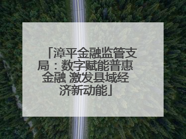 漳平金融监管支局：数字赋能普惠金融 激发县域经济新动能