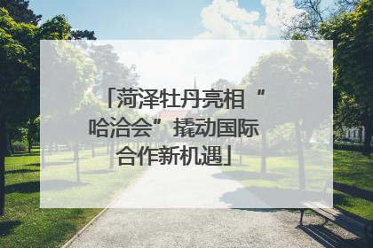 菏泽牡丹亮相“哈洽会”撬动国际合作新机遇