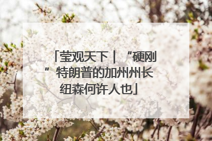 莹观天下｜“硬刚”特朗普的加州州长纽森何许人也