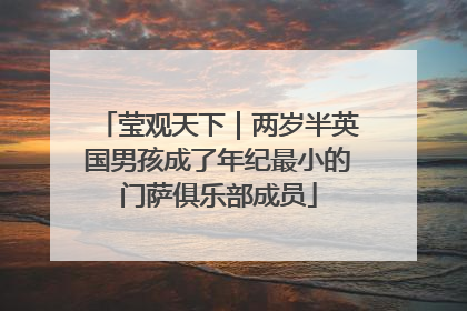 莹观天下｜两岁半英国男孩成了年纪最小的门萨俱乐部成员