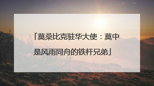 莫桑比克驻华大使：莫中是风雨同舟的铁杆兄弟