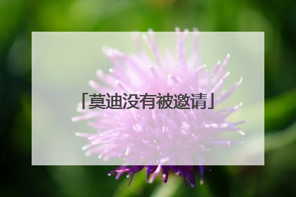 莫迪没有被邀请