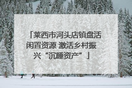 莱西市河头店镇盘活闲置资源 激活乡村振兴“沉睡资产”