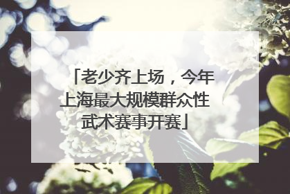 老少齐上场，今年上海最大规模群众性武术赛事开赛