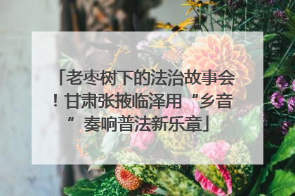 老枣树下的法治故事会！甘肃张掖临泽用“乡音”奏响普法新乐章