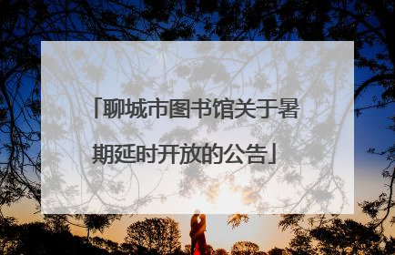 聊城市图书馆关于暑期延时开放的公告