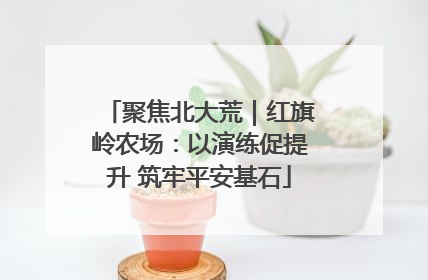 聚焦北大荒｜红旗岭农场：以演练促提升 筑牢平安基石