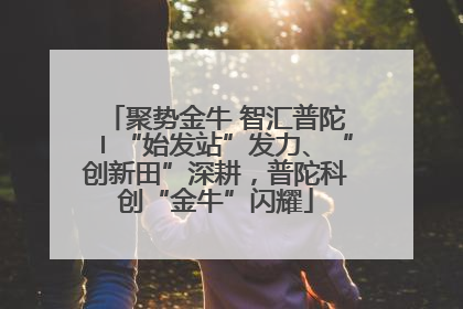 聚势金牛 智汇普陀〡“始发站”发力、“创新田”深耕，普陀科创“金牛”闪耀